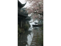 女儿今天去乌镇了