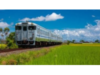 油菜花下的邂逅;列车与油菜花的奇缘