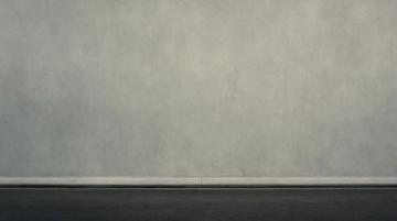 全球首列机场跨坐式单轨列车正式运营