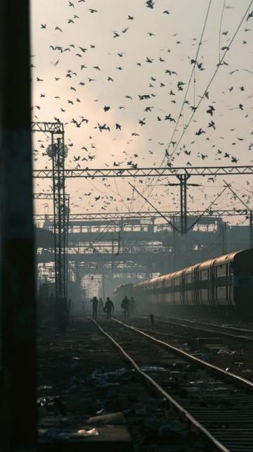 体验印度火车奇遇：非凡与惊心动魄同在