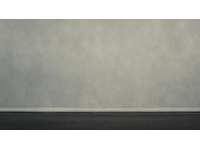 全球首列机场跨坐式单轨列车正式运营