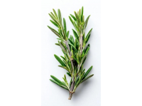 高铁惊魂！乘客被困厕所遭踹门施救，铁路部门紧急回应