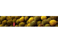 笑不活了！女子与同伴带榴莲坐高铁结果被拒，4人在安检处10分钟吃完三个榴莲