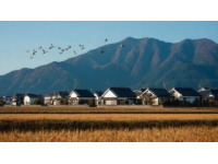 日本关东军60万人回国途中，竟然集体痛哭流涕！