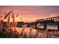 开往春天的列车启程居庸关下，长城与花海相映成趣