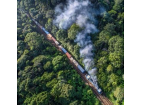 阿里山云海神木与森林火车的童话世界；最迷人的台湾景点之一：阿里山