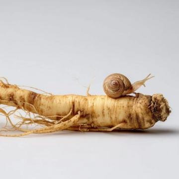 老人在上海地铁晕倒，乘警队员迅速救助