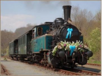 绿皮火车再次走红：背后原因有多重！