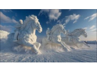 哈尔滨冰雪大世界诞生奇景！零下30度冰雕突然喷出热气。