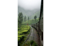 绿皮火车物价调查: 是合理还是过高?