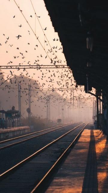 今起这10趟列车试点(10趟列车)