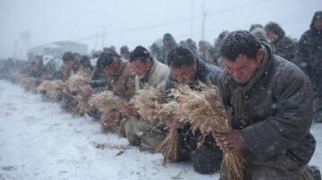 草木皆兵，是否过分了？辽宁营口，男子吐槽带儿童铲乘坐火车
