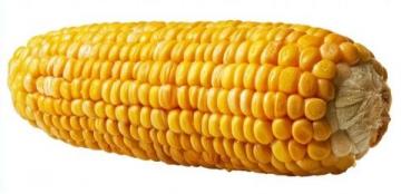 暖心！火车上有乘客突然生产，接下来一幕幕令人泪目……