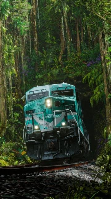 你会为省钱选乘绿皮火车吗？这届年轻人开始用绿皮火车对抗时间