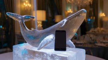 穿越百年冰雕盛宴，共赴冰雪奇境之旅