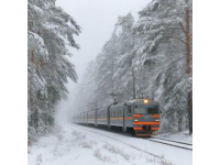 黑龙江首趟冰雪环线旅游列车开行