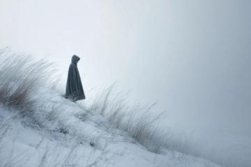 寒风中的温馨之旅