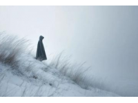 寒风中的温馨之旅