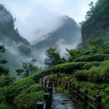 呼伦贝尔莫尔道嘎森林蒸汽小火车一日游