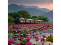 本周末滇超球迷专列开行，中老铁路助力观赛出行热潮