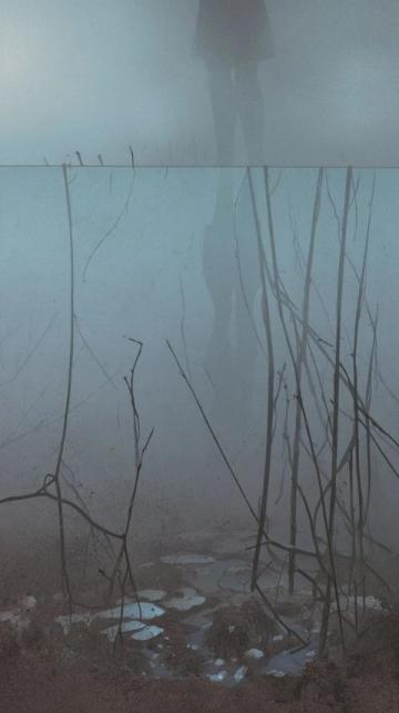 一篇名为"真相"的文章