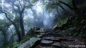 泰安之旅：直达泰山+岱庙古迹+美味街区