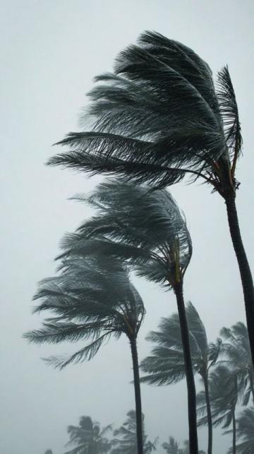 广东遭遇超强台风“桦加沙”，最后一趟高铁人满为患乘客站四小时