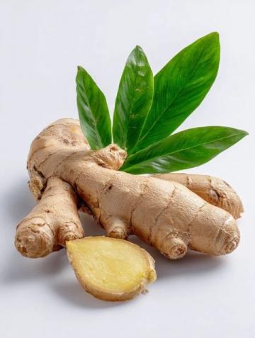 K976次列车紧急救援：乘务员果断行动救助急病乘客