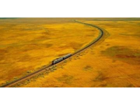 这趟列车途经山东全省，携带着16个市36处景点的美好！