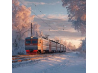 寒冬里的温暖：高铁列车长贴心照料轮椅乘客旅途无忧