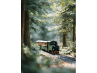 6605慢火车，秦巴山区唯一的公益小火车