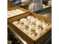 高铁延误四小时，乘客不满发放面包遭质疑，列车长回应暖人心扉