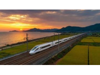 孝心满满！高铁带高龄母游三亚，362元硬座引发热议