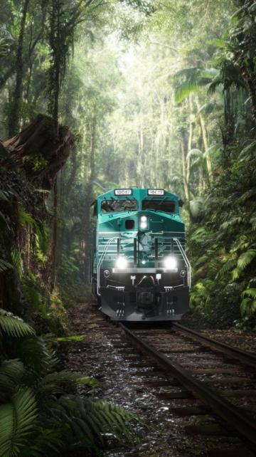 省钱又暖心!绿皮火车新趋势引发热议