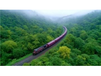 绿皮火车：经济出行的选择