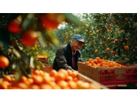 怀化至澧县慢火车变身为乡村集市