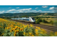 多重安全保障为何失效？西班牙高铁惨案背后的谜团