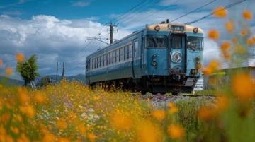 这趟当日往返的旅游列车超火爆！