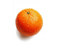 最新列车时刻表更新公布