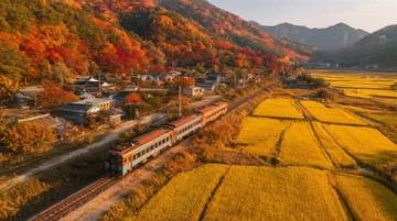 春节假期首日火车票今日开售