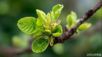 长三角铁路受台风“梅花”影响部分列车停运公告