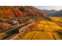 春节假期首日火车票今日开售