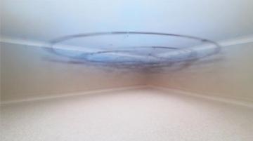 温暖护航：为务工者铺就温馨返乡之旅