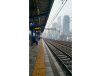 高铁不是回家的正确答案？2026年春运绿皮火车爆红