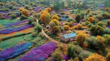 北京至拉萨绿皮火车之旅:难忘的高原铁路奇遇记