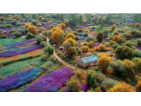 北京至拉萨绿皮火车之旅：难忘的高原铁路奇遇记