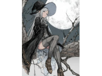 月下列车上的白发少女：巫师帽下的轻盈之舞