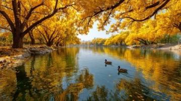 41.5元体验泰山黄河号，5小时畅游至黄河畔