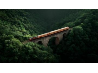 Z257次列车，上海至重庆的沪渝神车！