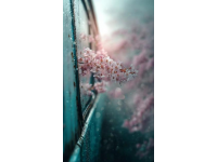 开往春天的列车——杭州凤起路与凯旋路交叉口